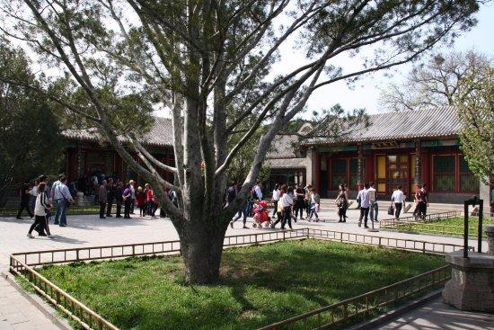 Hall of Happiness and Longevity