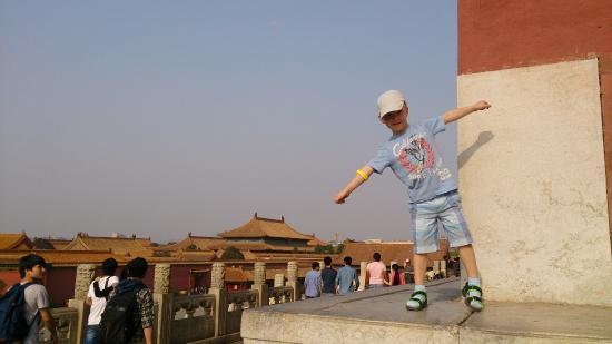 Garden of Tranquility and Brightness